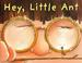 Cover of: Hey little ant