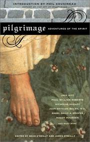 Cover of: Pilgrimage: Adventures of the Spirit (Travelers' Tales)