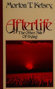 Cover of: Afterlife by Morton T. Kelsey
