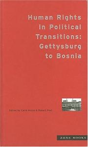 Human rights in political transitions : Gettysburg to Bosnia