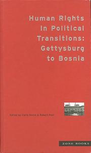 Cover of: Human rights in political transitions: Gettysburg to Bosnia