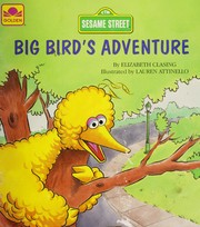 Cover of: Big Bird's Adventure
