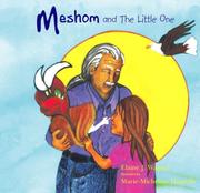 Cover of: Meshom and the Little One: Revised Edition