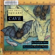 Cover of: Cave