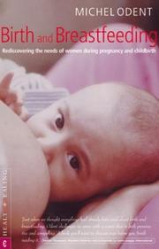 Cover of: Birth and Breastfeeding: Rediscovering The Needs Of Women During Pregnancy And Childbirth