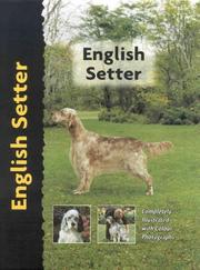 English Setter