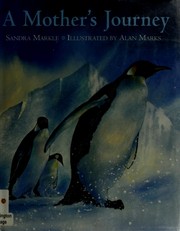 Cover of: A Mother's Journey