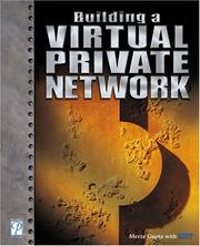 Building a virtual private network