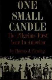 Cover of: One small candle: the Pilgrims' first year in America