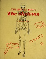 Cover of: The human body: the skeleton