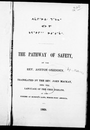 Cover of: The pathway of safety