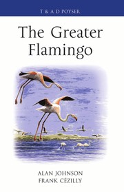 The greater flamingo by Alan Johnson