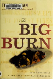 Cover of: The big burn: Teddy Roosevelt and the fire that saved America