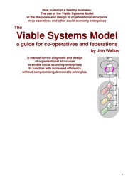 Cover of: Effective Organizing: viable systems model