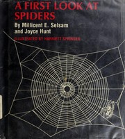 Cover of: A first look at spiders