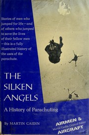 Cover of: The silken angels
