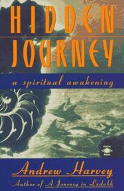 Cover of: Hidden journey: a spiritual awakening