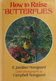 Cover of: How to raise butterflies