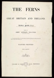 Cover of: The ferns of Great Britain and Ireland