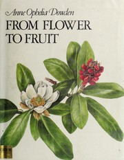 Cover of: From flower to fruit