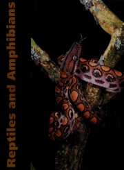 Cover of: Reptiles and Amphibians by Marshall Cavendish Corporation