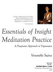 Essentials of insight meditation practice