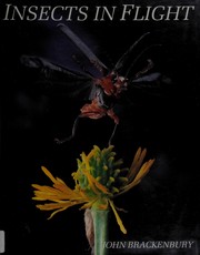 Insects in Flight by John Brackenbury