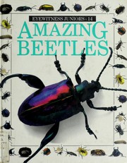 Cover of: Amazing beetles