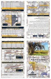 Cover of: Demographic & economic information for Rosebud County