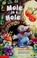 Cover of: Mole in a Hole (Step Into Reading: Step 1)