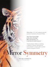 Cover of: Visual symmetry