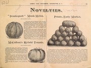 Cover of: Novelties by James Vick's Sons (Rochester, N.Y.)