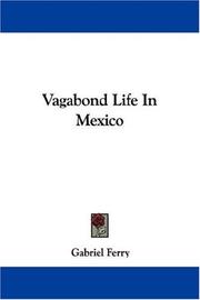 Vagabond Life In Mexico