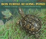 Box turtle at long pond