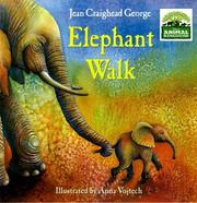 Elephant Walk (Disney's Animal Kingdom)