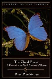 Cloud Forest