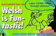 Welsh is fun-tastic!