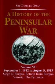 A History of the Peninsular War V6