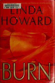 Cover of: Burn: a novel