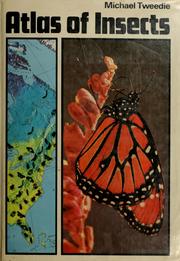 Cover of: Atlas of insects