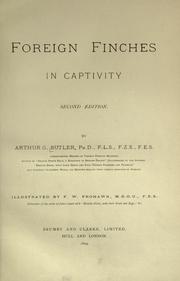 Cover of: Foreign finches in captivity