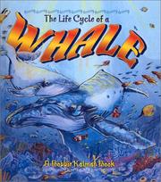 whale lifecycle