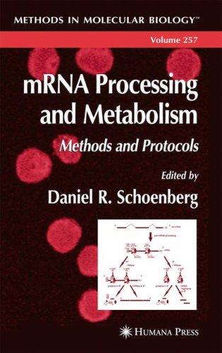 mRNA Processing and Metabolism Daniel R. Schoenberg