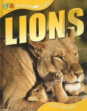 Lions (Qeb Animal Lives) Sally Morgan