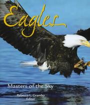 Eagles Masters of the Sky Rebecca Grambo
