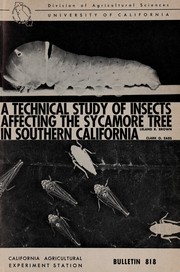 A technical study of insects affecting the sycamore tree in southern California (Bulletin) Leland R Brown