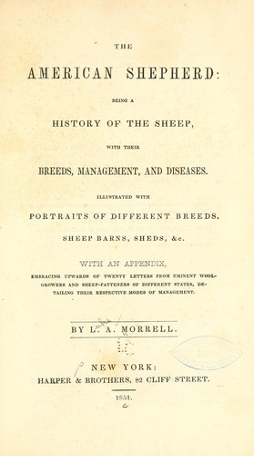 The American shepherd by Luke A. Morrell