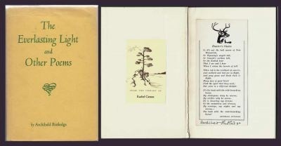 The everlasting light by Archibald Hamilton Rutledge