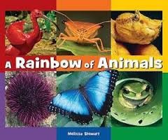 A rainbow of animals by Melissa Stewart