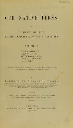 Our native ferns by Edward Joseph Lowe